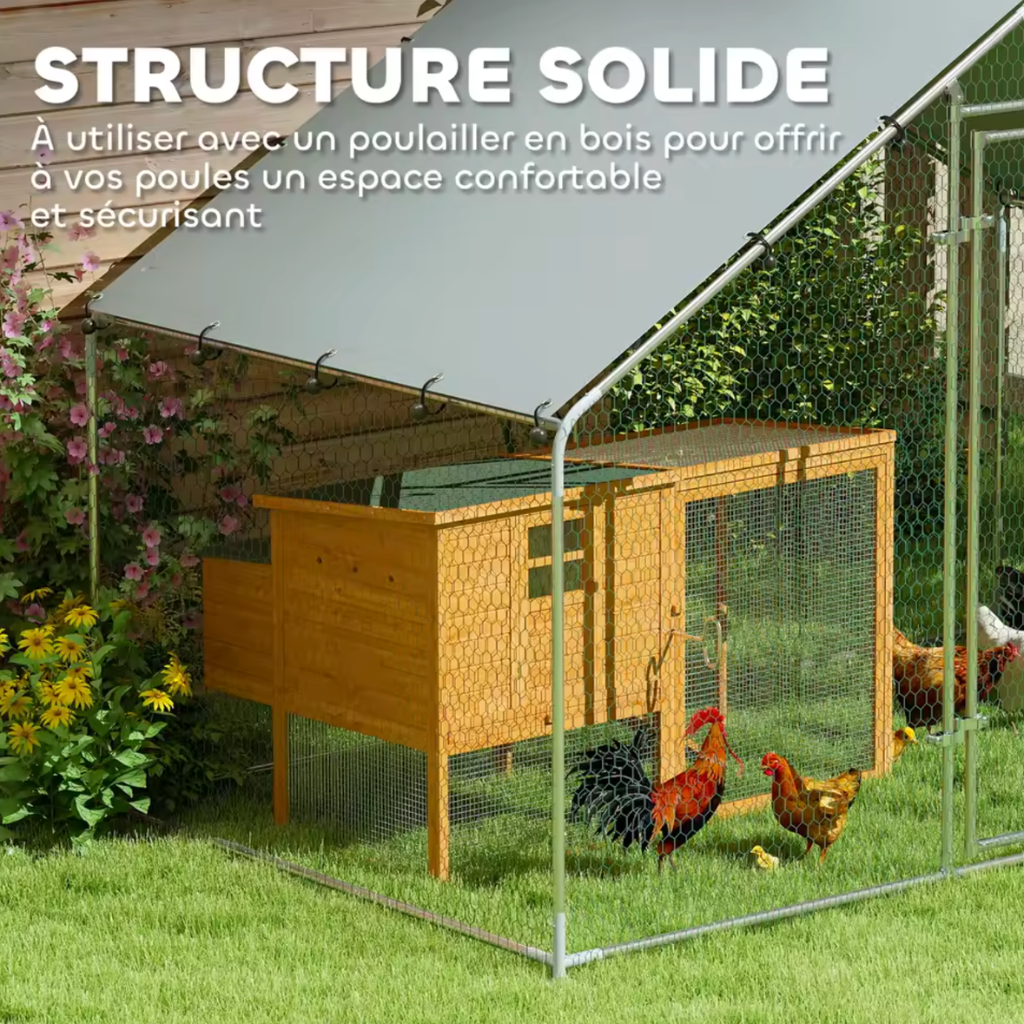 Enclos cinq huit poules