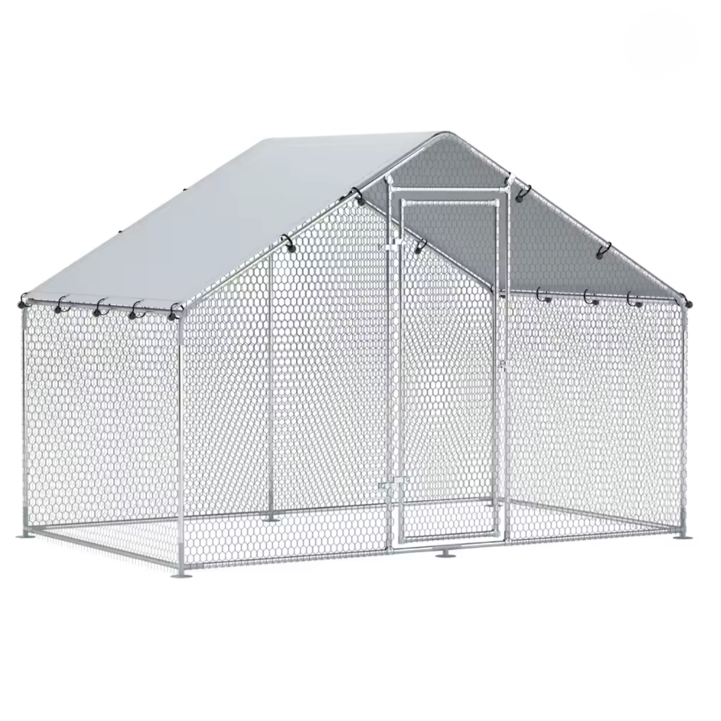 Enclos poulailler cinq poules