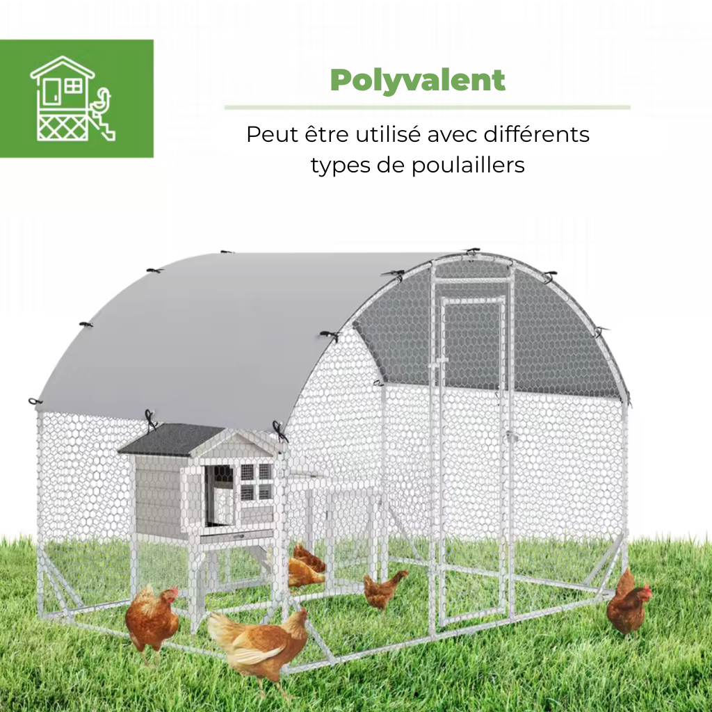 Enclos poulailler douze poules