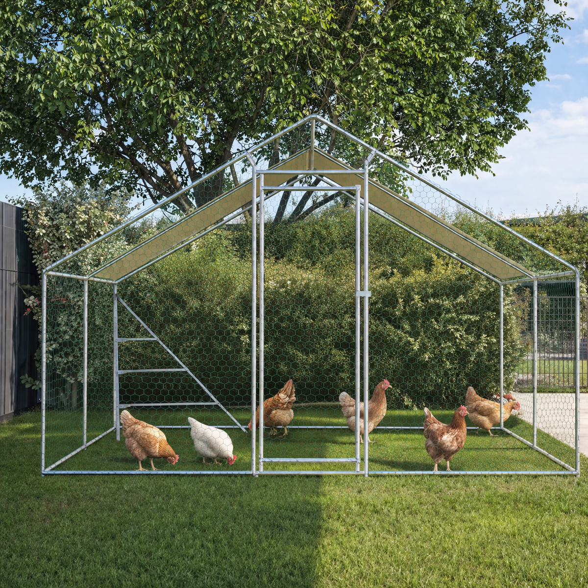 Enclos poulailler pour quinze poules