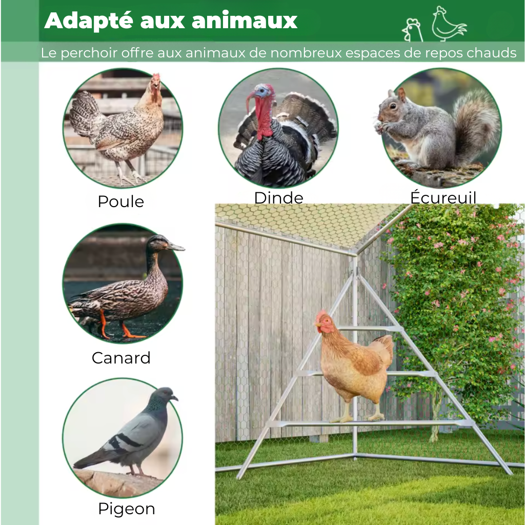 Enclos poulailler quinze poules