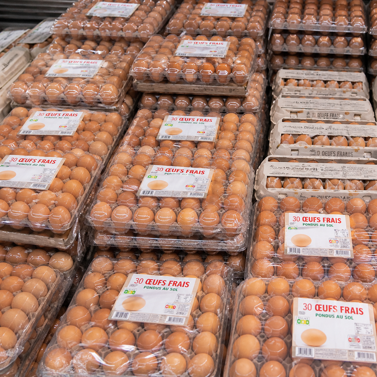 Oeufs supermarché