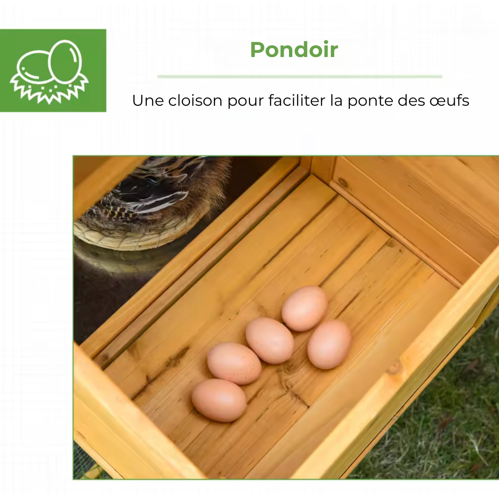 Poulailler bois pondoir