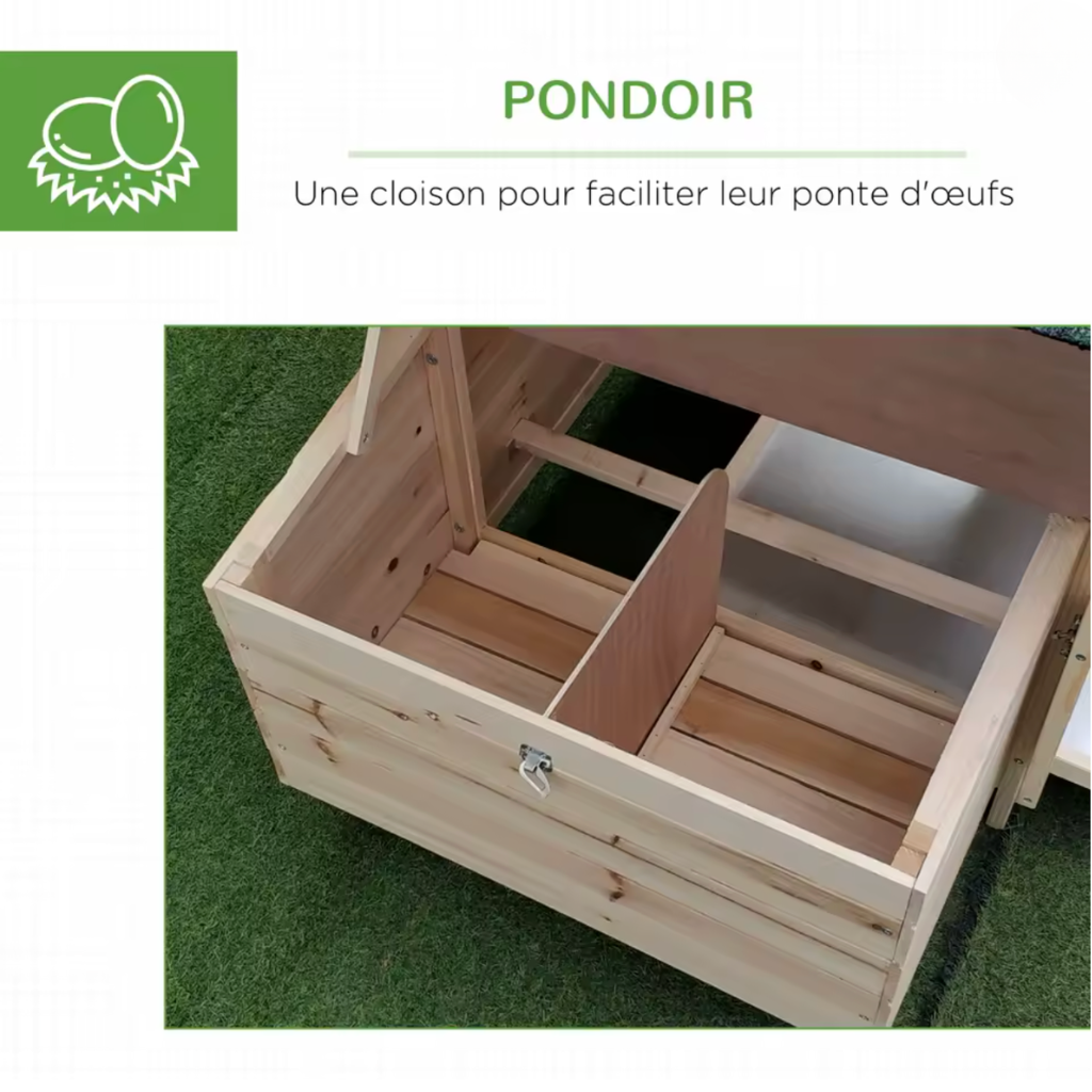 Poulailler bois vert une poule pondoir