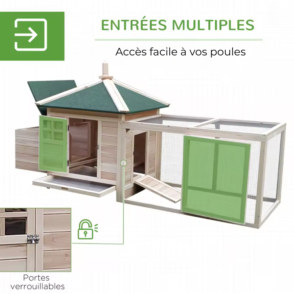 Poulailler bois vert une poule
