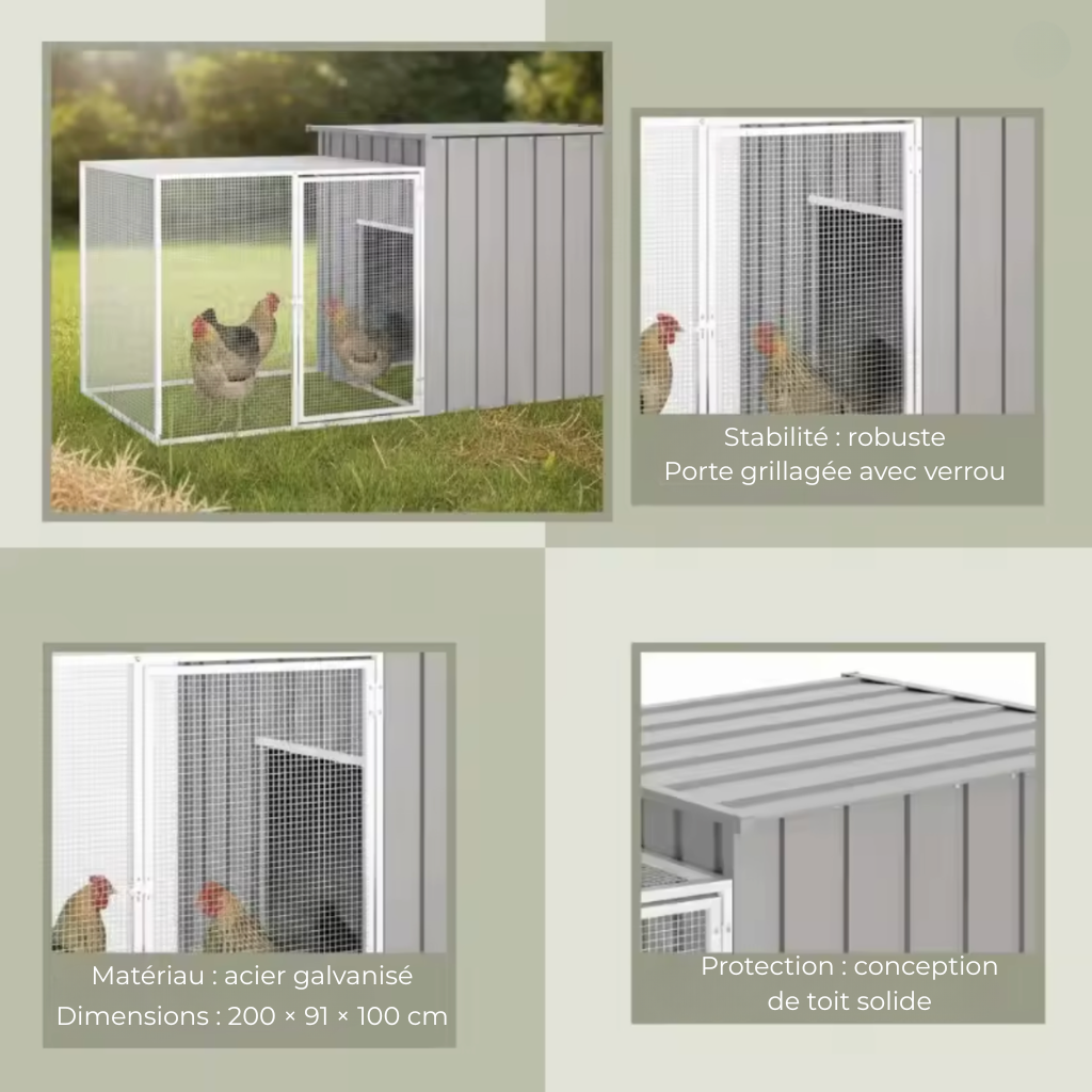 Poulailler cinq poules gris