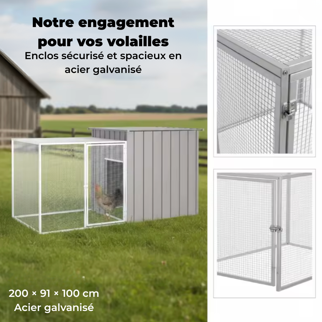 Poulailler gris cinq poules