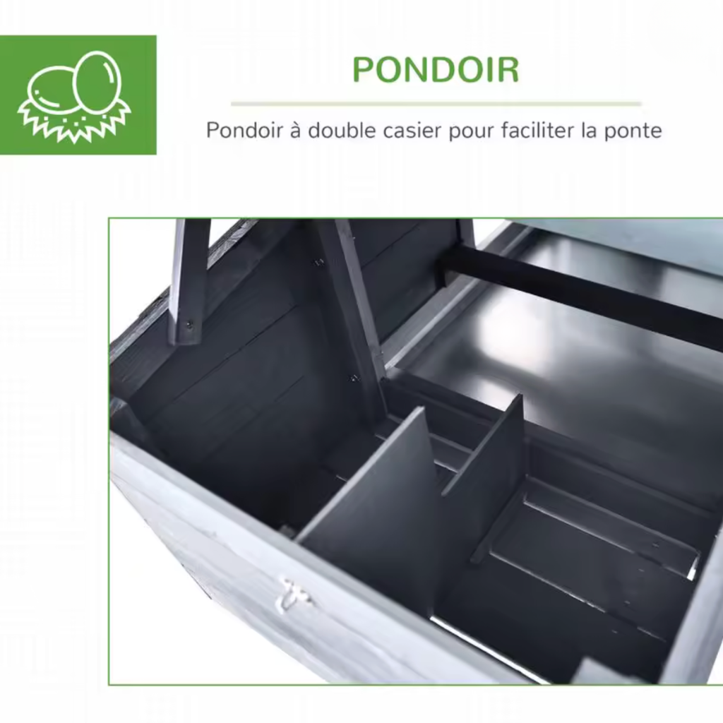 Poulailler gris deux poules pondoir