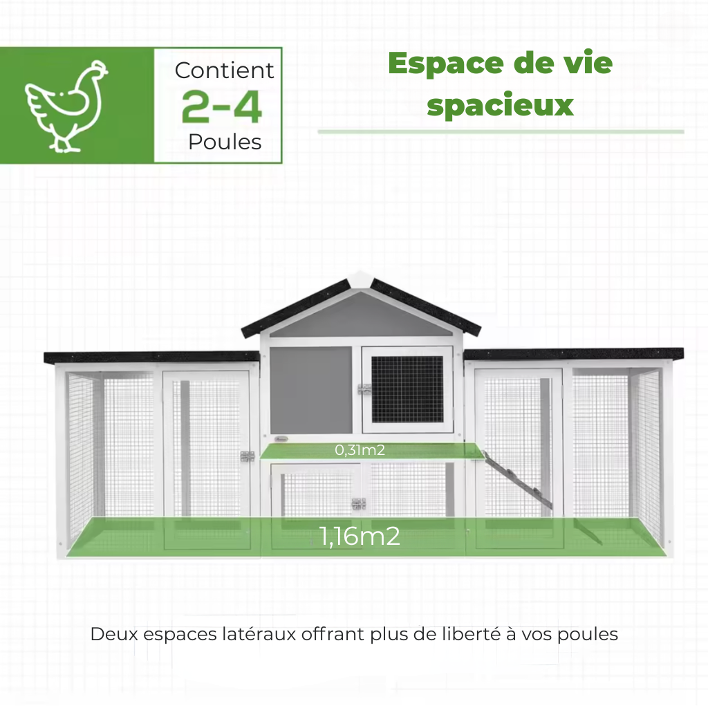 Poulailler gris deux quatre poules