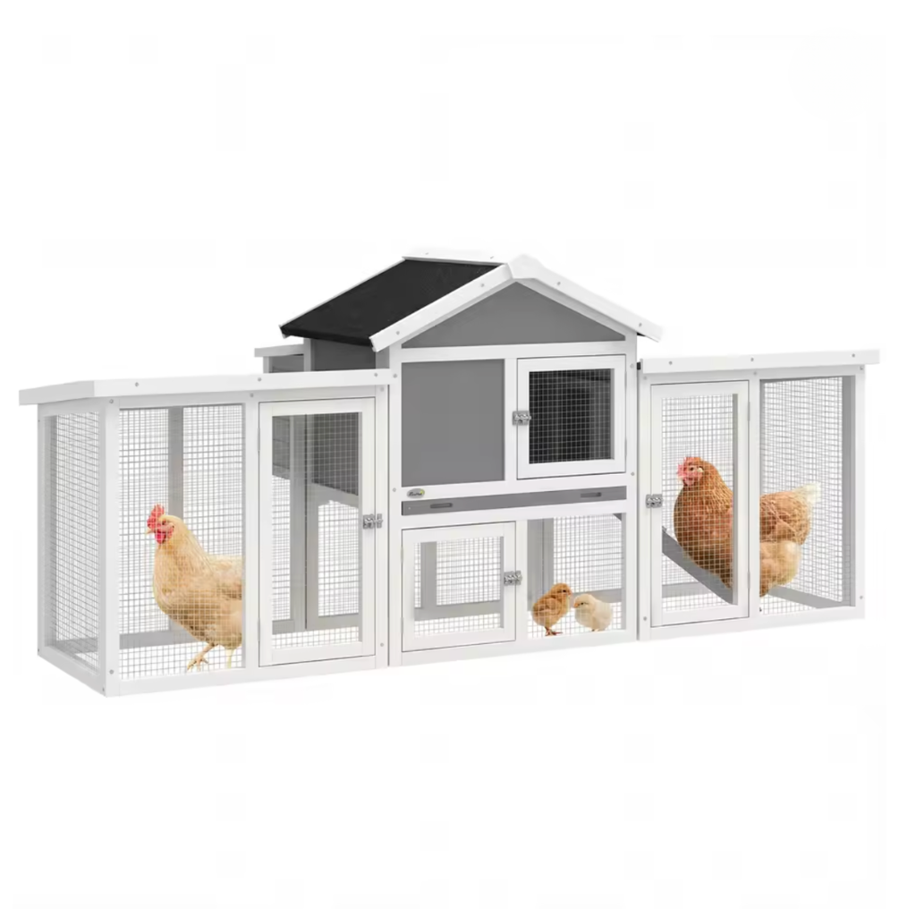 Poulailler gris deux quatre poules