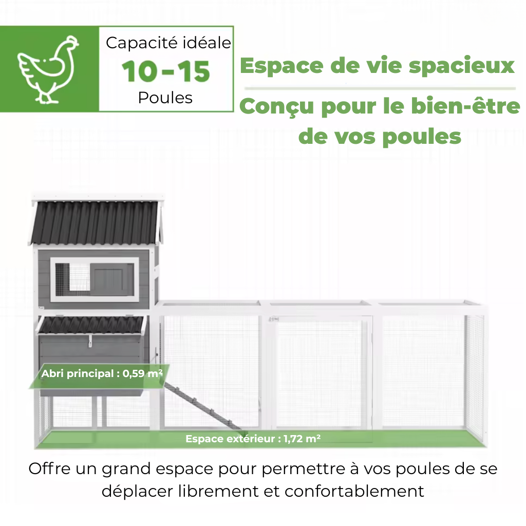 Poulailler gris dix poules