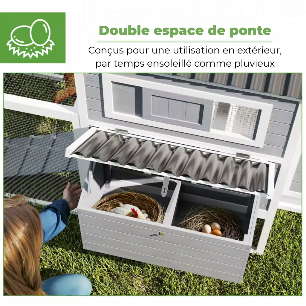 Poulailler gris pondoir quinze poules