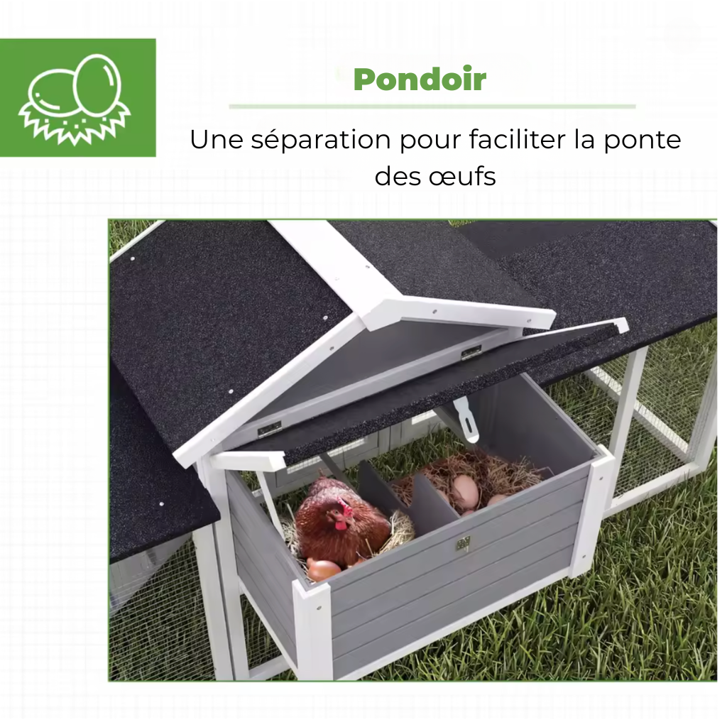 Poulailler gris pondoir