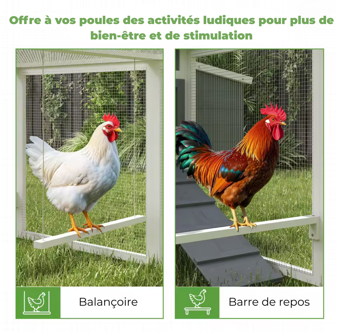 Poulailler gris quinze poules