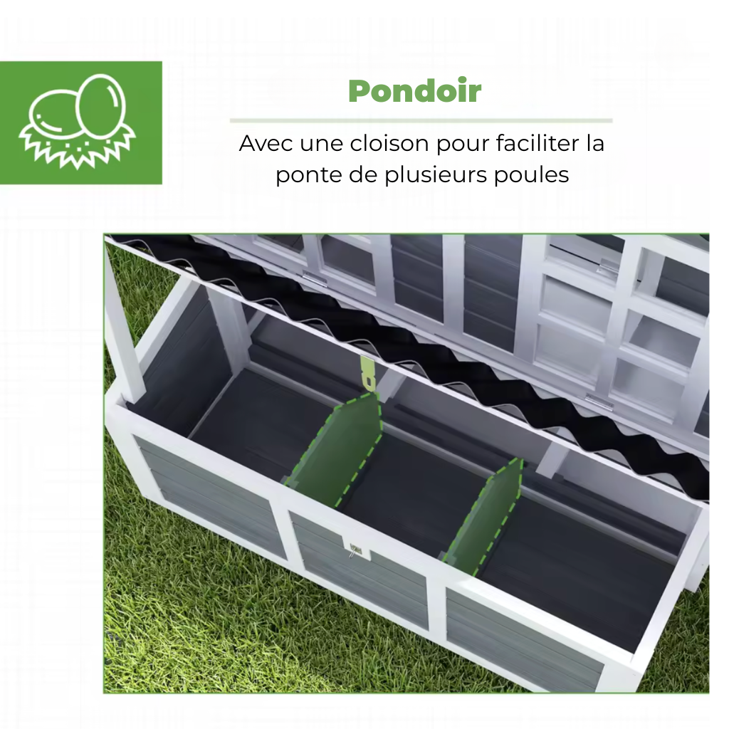 Poulailler gris six poules pondoir