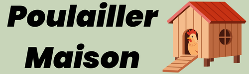 Poulailler Maison