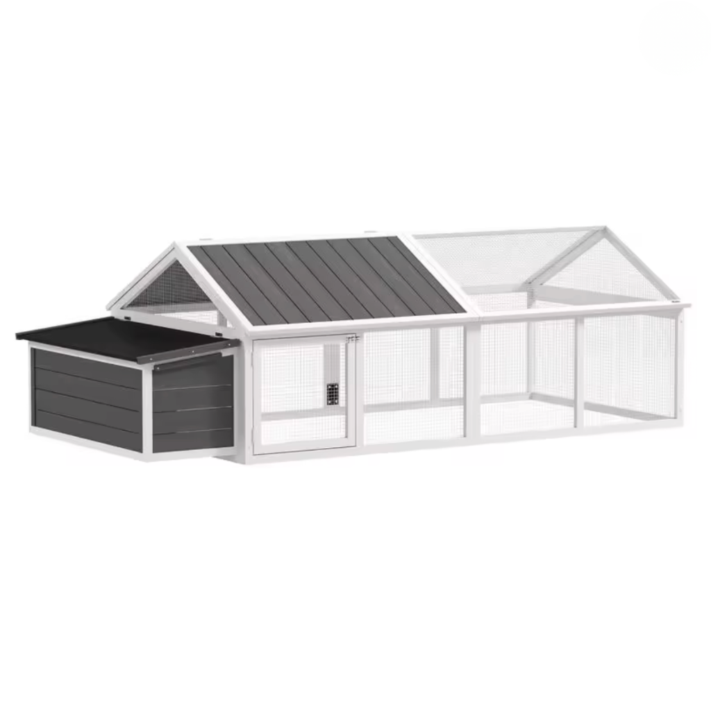 Poulailler quatre huit poules gris