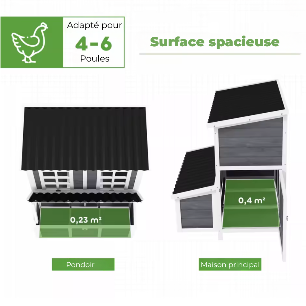 Poulailler gris quatre six poules