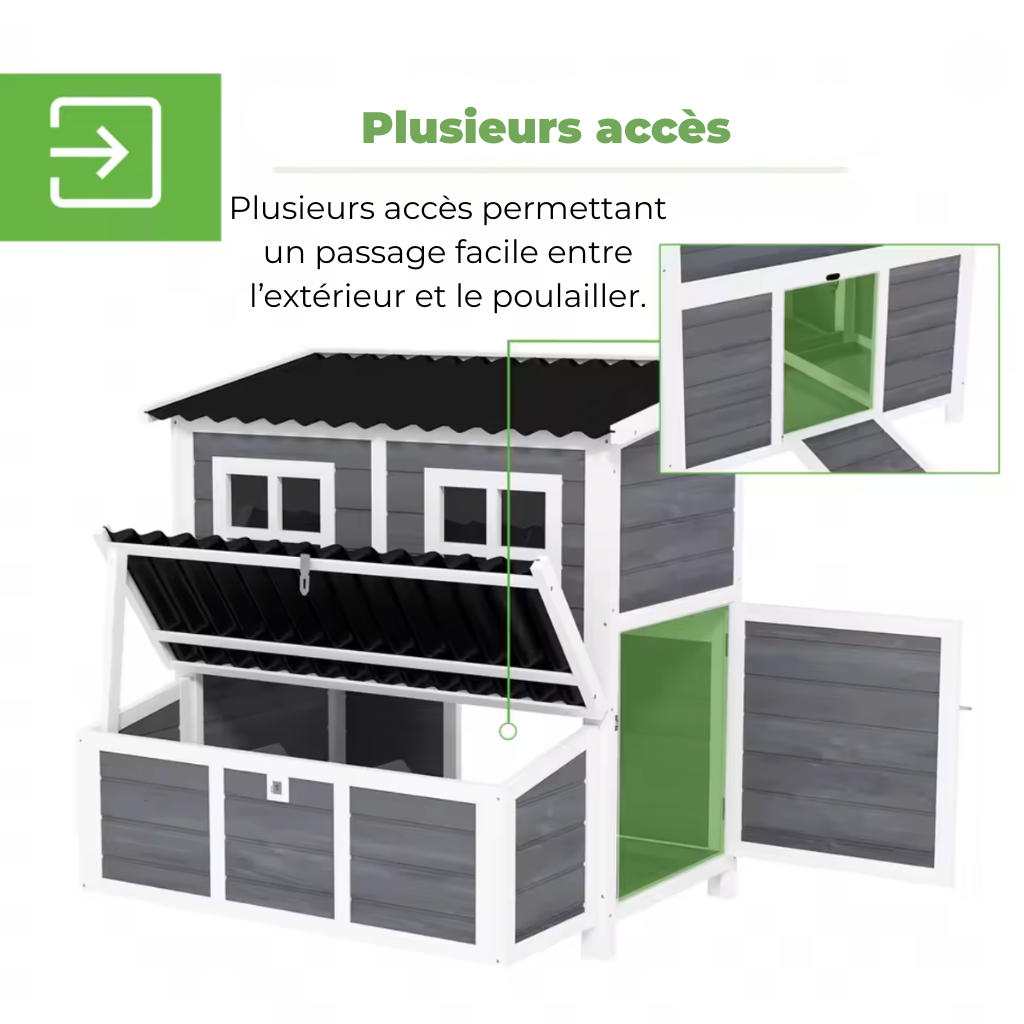 Poulailler six poules