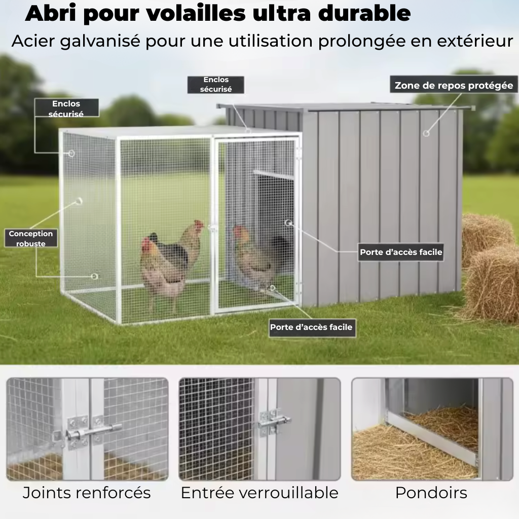 Poulailler trois poules