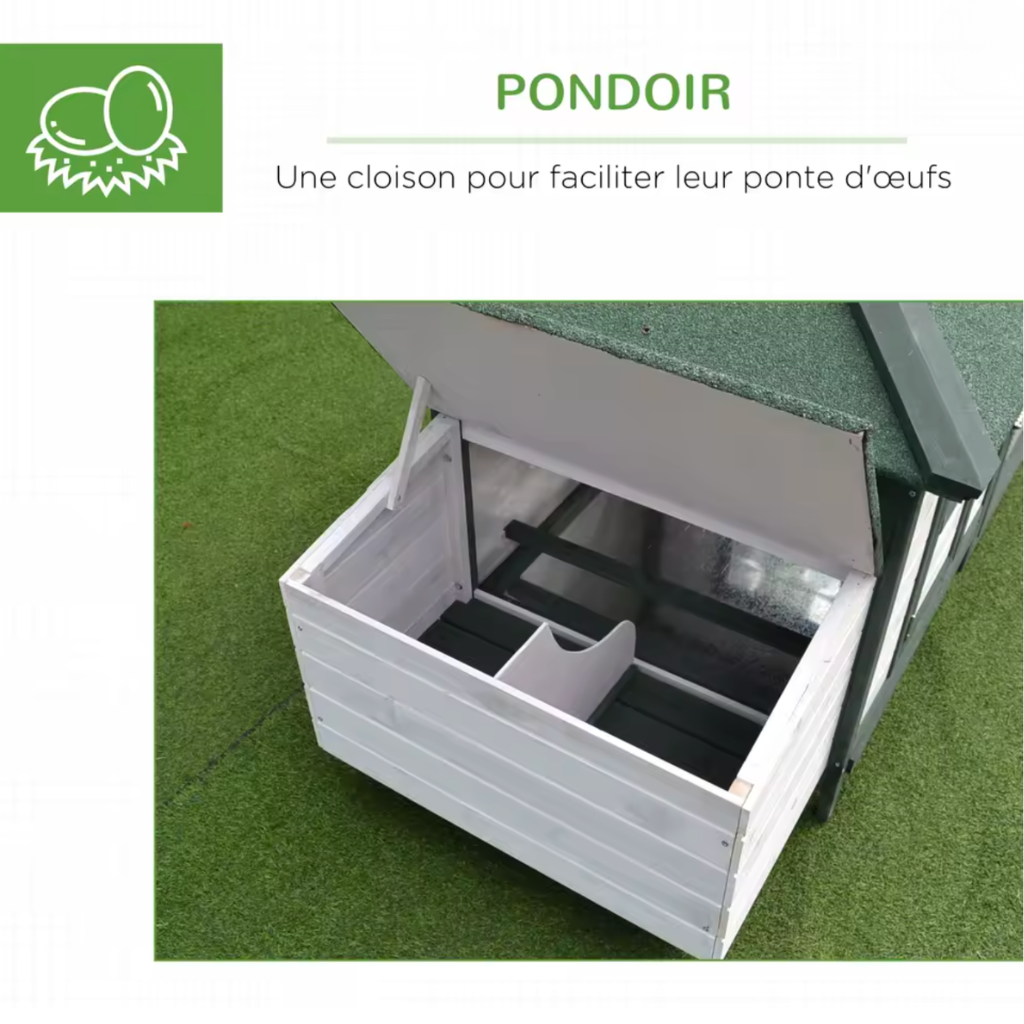 Poulailler vert pondoir