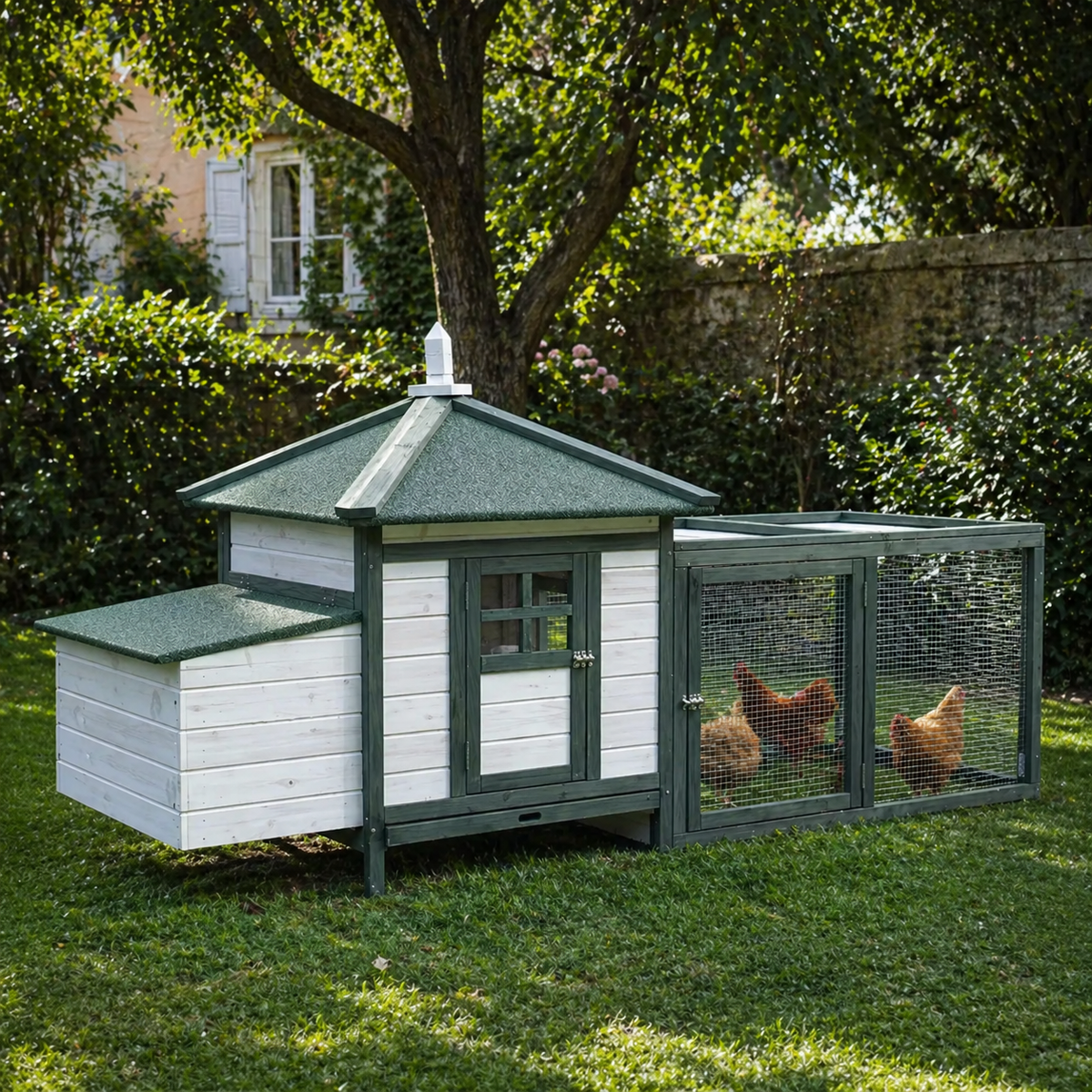 Poulailler vert quatre poules